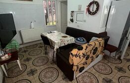 Casa de vanzare, 200 mp utili, 460 mp teren, zona Sala Olimpia