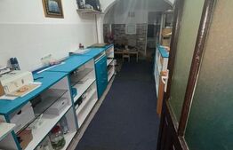 Casa de vanzare, 200 mp utili, 460 mp teren, zona Sala Olimpia