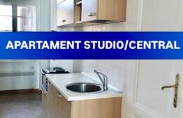 Apartament 1 camera, 42 mp, zona Neptun