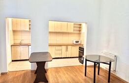 Apartament 4 camere, 132 mp, zona Centru - vedere Bega
