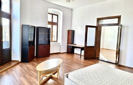 Apartament 4 camere, 132 mp, zona Centru - vedere Bega