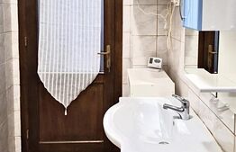 Apartament 4 camere, 133 mp, zona Centru - vedere Bega