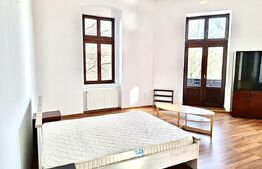 Apartament 4 camere, 133 mp, zona Centru - vedere Bega