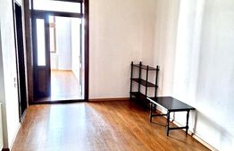 Apartament 4 camere, 132 mp, zona Centru - vedere Bega