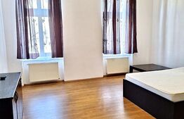 Apartament 4 camere, 132 mp, zona Centru - vedere Bega