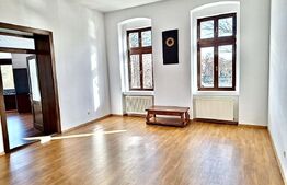 Apartament 4 camere, 133 mp, zona Centru - vedere Bega