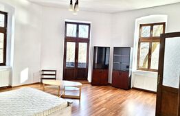 Apartament 4 camere, 133 mp, zona Centru - vedere Bega