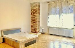 Apartament 3 camere, 115 mp, zona Centru - vedere Bega