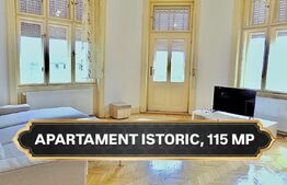 Apartament 3 camere, 115 mp, zona Centru - vedere Bega