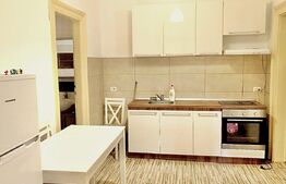 Apartament 3 camere, 115 mp, zona Centru - vedere Bega