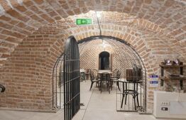 Spațiu comercial de închiriat, 400 mp, Ultracentral