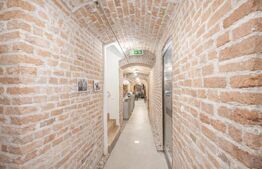 Spațiu comercial de închiriat, 400 mp, Ultracentral