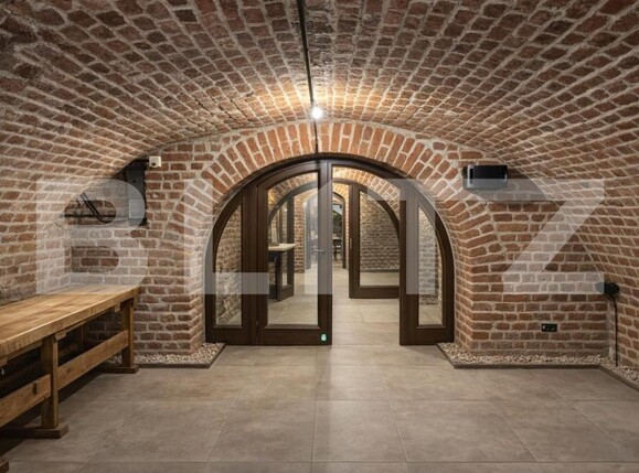 Spațiu comercial de închiriat Ultracentral - 188909SIC | BLITZ Timișoara | Poza5