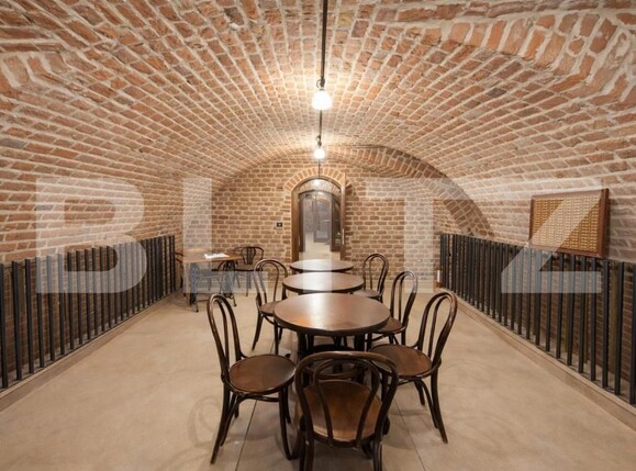 Spațiu comercial de închiriat Ultracentral - 188909SIC | BLITZ Timișoara | Poza1