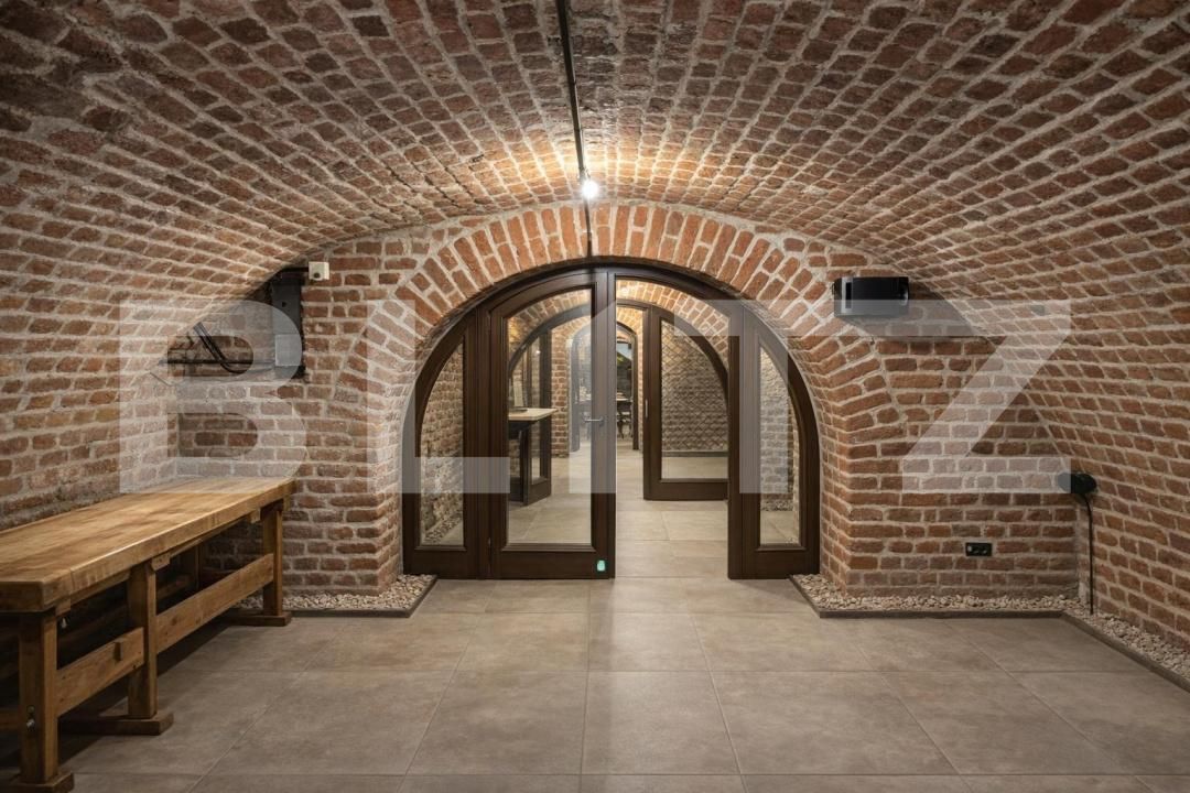 Spațiu comercial de închiriat Ultracentral - 188909SIC | BLITZ Timișoara | Poza5