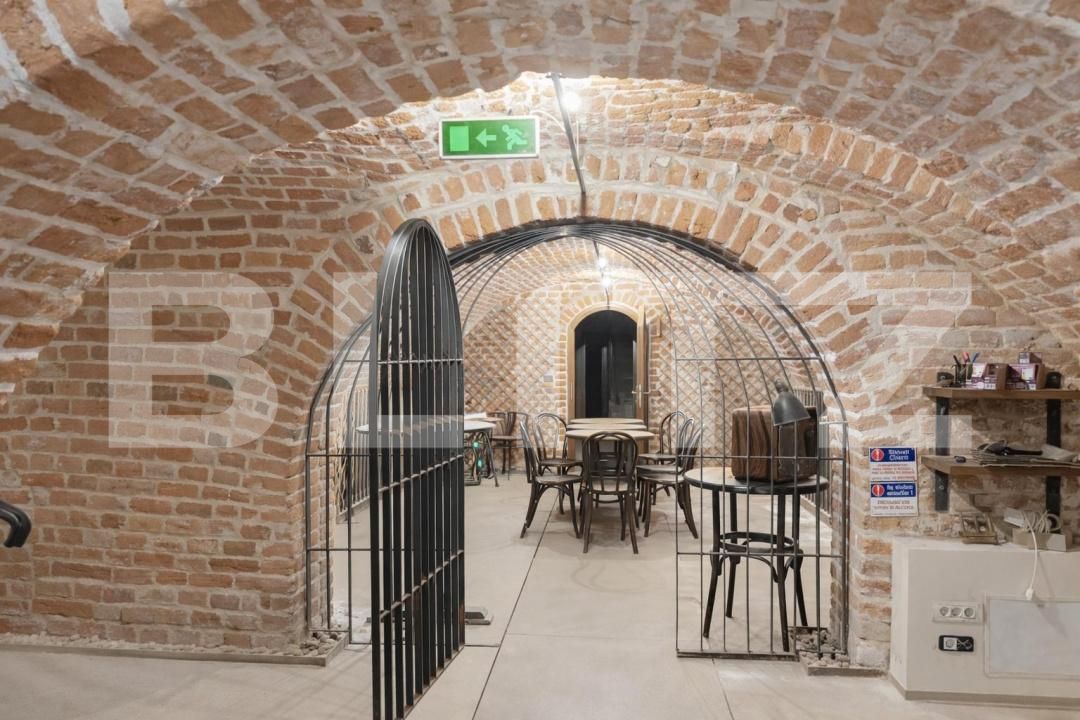 Spațiu comercial de închiriat Ultracentral - 188909SIC | BLITZ Timișoara | Poza2