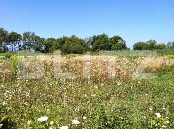 Teren de vânzare Sacalaz - 189003TV | BLITZ Timișoara | Poza1