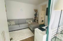 Apartament 2 camere pe parter, central Chisoda