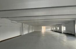 Spațiu comercial Premium 760 mp | Vad Pietonal | Parcare Privată - Zona Lipovei