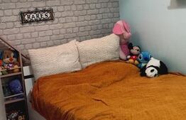 Apartament 2 camere, 48 mp, zona Freidorf