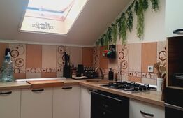 Apartament 2 camere, 48 mp, zona Freidorf