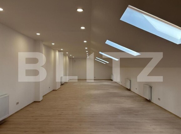 Spațiu birouri de închiriat Central - 189019SIB | BLITZ Timișoara | Poza1