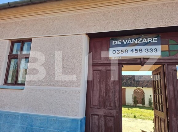 Casa de vânzare 6 camere Faget - 189224CV | BLITZ Timișoara | Poza1