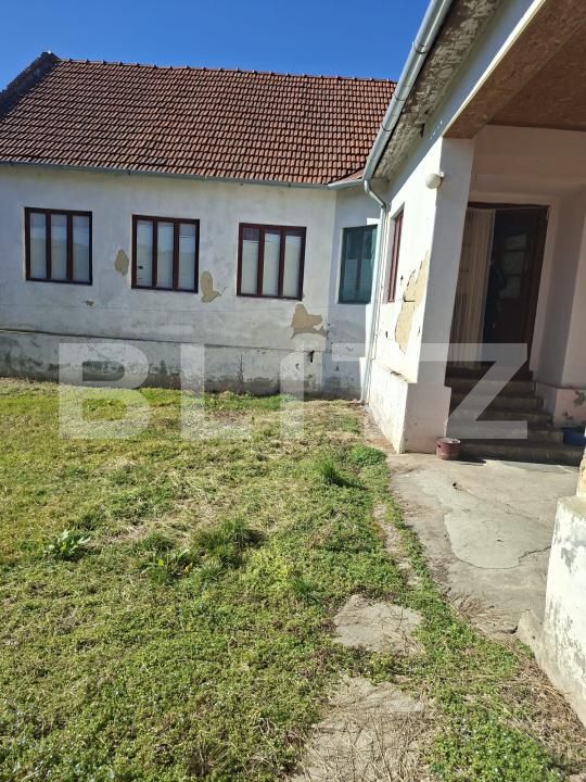 Casa de vânzare 6 camere Faget - 189224CV | BLITZ Timișoara | Poza6