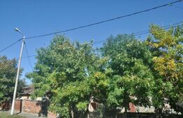 Vanzare Casa / Fratelia teren 580mp