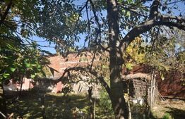 Vanzare Casa / Fratelia teren 580mp