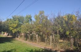 Vanzare Casa / Fratelia teren 580mp