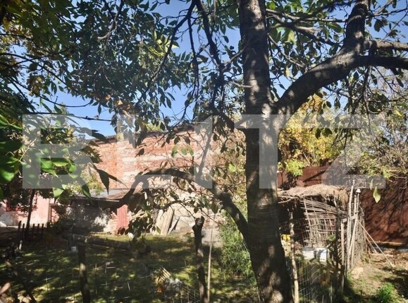 Casa de vânzare 2 camere Fratelia - 189278CV | BLITZ Timișoara | Poza2