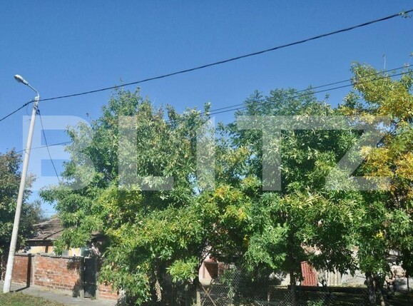 Casa de vânzare 2 camere Fratelia - 189278CV | BLITZ Timișoara | Poza3