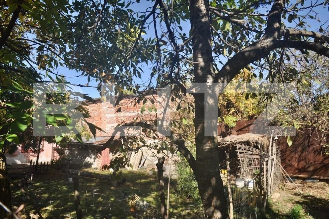 Casa de vânzare 2 camere Fratelia - 189278CV | BLITZ Timișoara | Poza2