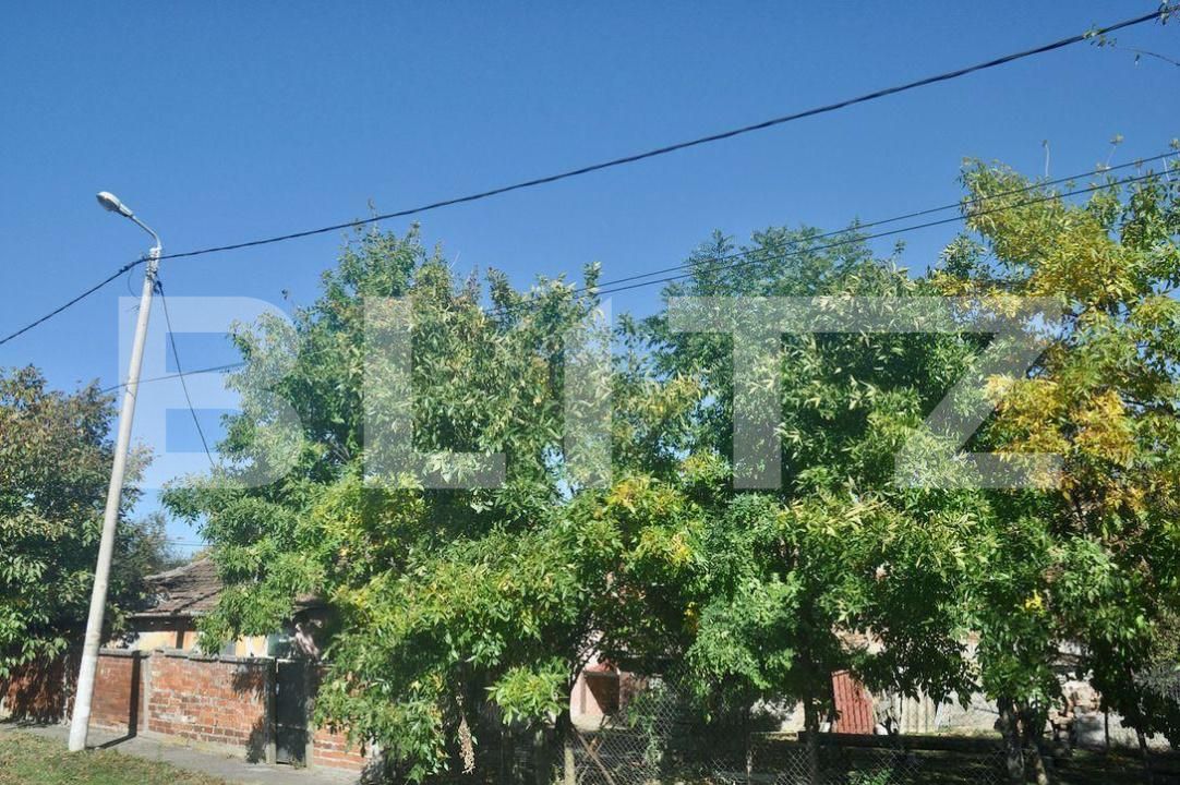 Casa de vânzare 2 camere Fratelia - 189278CV | BLITZ Timișoara | Poza3