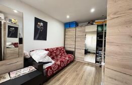 Apartament 1 camera, 22 mp, zona AEM 