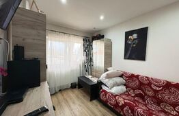 Apartament 1 camera, 22 mp, zona AEM 