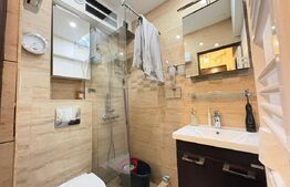 Apartament 1 camera, 22 mp, zona AEM 