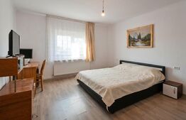 Casa Sanandrei 190mp utili si 650mp Teren