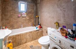 Casa Sanandrei 190mp utili si 650mp Teren