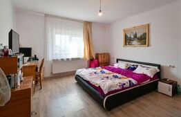 Casa Sanandrei 190mp utili si 650mp Teren