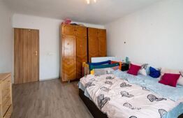 Casa Sanandrei 190mp utili si 650mp Teren