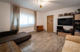 Casa Sanandrei 190mp utili si 650mp Teren