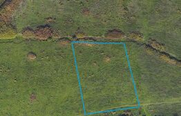 Parcelă teren extravilan, 5000 mp, zona Mehala