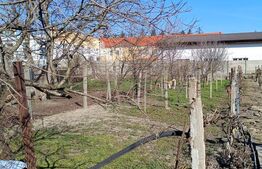 Casa individuala, 106 mp, zona Iosefin 