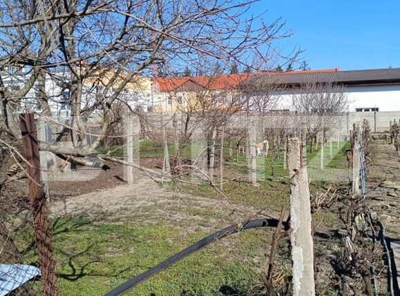 Casa de vânzare 4 camere Iosefin - 189855CV | BLITZ Timișoara | Poza2