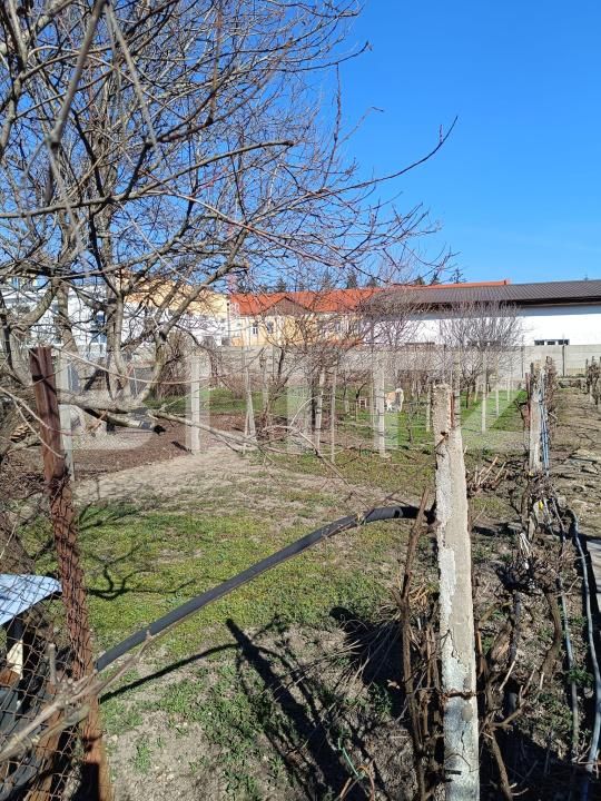 Casa de vânzare 4 camere Iosefin - 189855CV | BLITZ Timișoara | Poza2