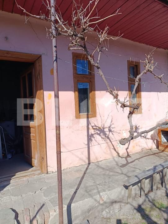 Casa de vânzare 4 camere Iosefin - 189855CV | BLITZ Timișoara | Poza3