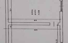 Spatiu comerical, 70 mp, zona Unirii - Liceul Lenau