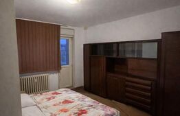 Apartament ideal pentru renovare, vedere la Bega, 2 camere